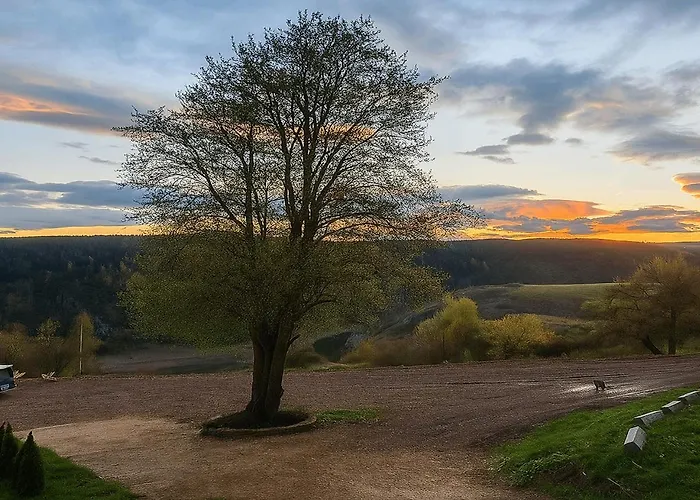 Biserni Kutak سينيتشا